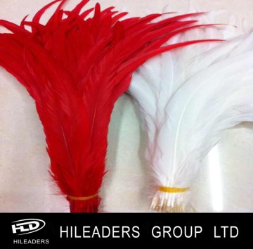 Bundle Dye Rooster Feather (RT026)