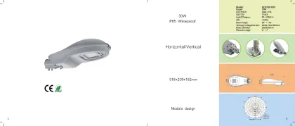 Economic price 30W/45W Stree light-Hot sale