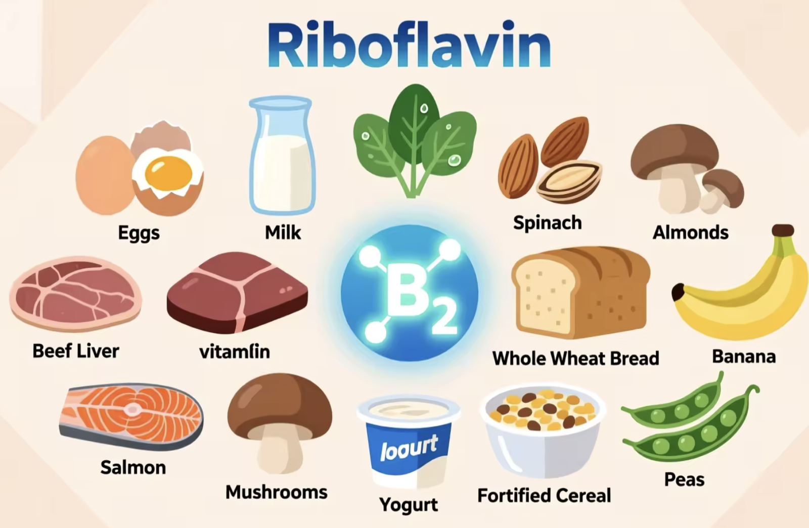 Riboflavin Supplement Ingredient