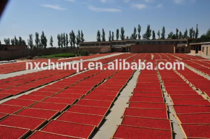 NEW CROP HOT SALE BULK GOJI BERRIES