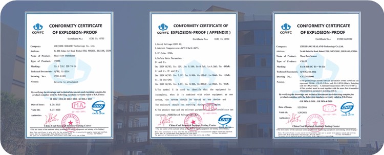 Stable zero point process control Coriolis mass flow meter flowmeter