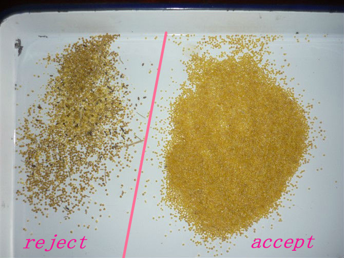 Vision CCD Cereal Color Sorter, Grain Color Sorter