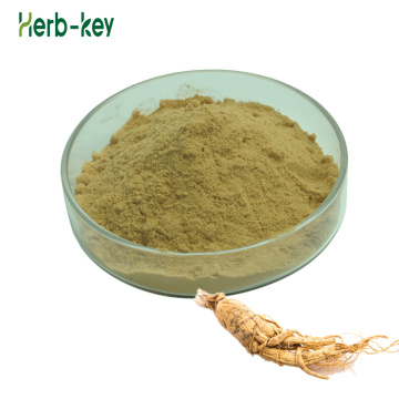 Serbuk ginsenoside 80% ekstrak akar ginseng