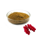 Bulk schisandra Chinensis Extract