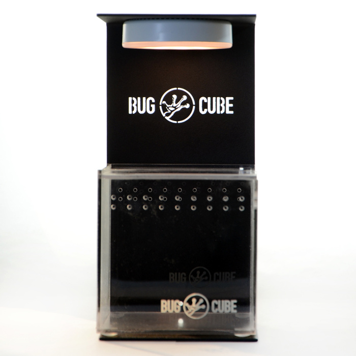 Caixa de criação de acrílico de alta transmissão de tamanho personalizável