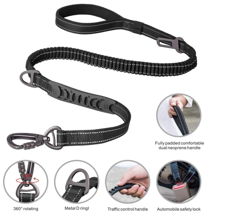 4-6FT Bungee Dog Leash