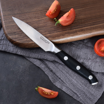 Hot Sale Ultra Sharp 3.5 Inch Stainless Steel Kitchen Knife with ABS Handle