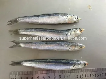 Frozen anchovy for fish meal/Engraulis Japonicus