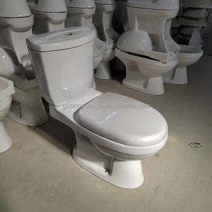 Ethiopia ACQUA Water Closet Bathroom Ceramic Toilet Bowl for Hotel