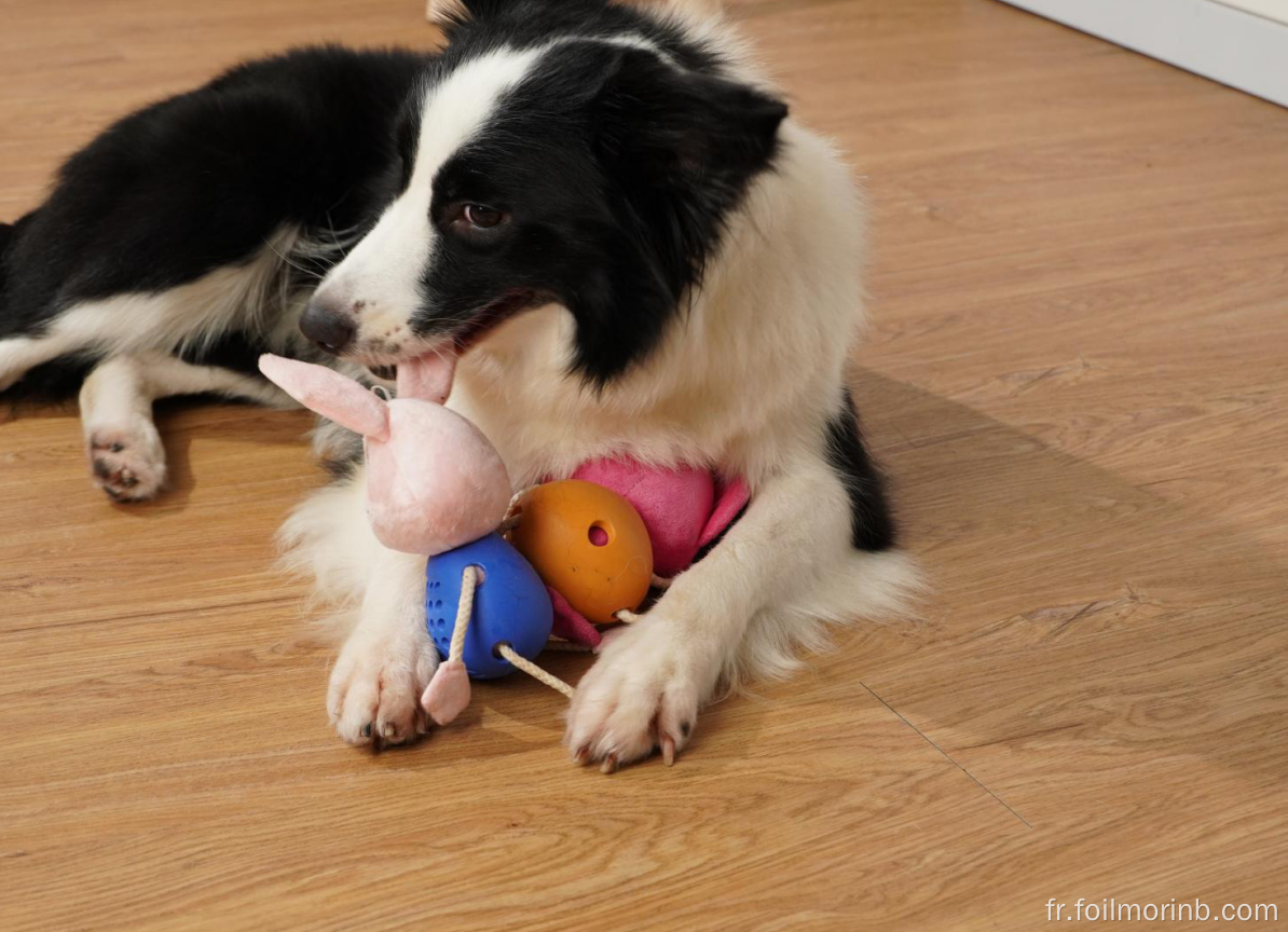 Lapin en peluche pour chien