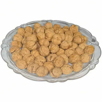 Bulk Wholesale Walnut Fruit