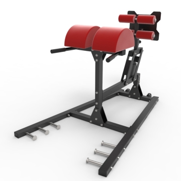 FREE WEIGHT PRESS BENCH FITNESS WEIGHT ROMAN CHAIR ABDOMINAL BENCH G0201LA