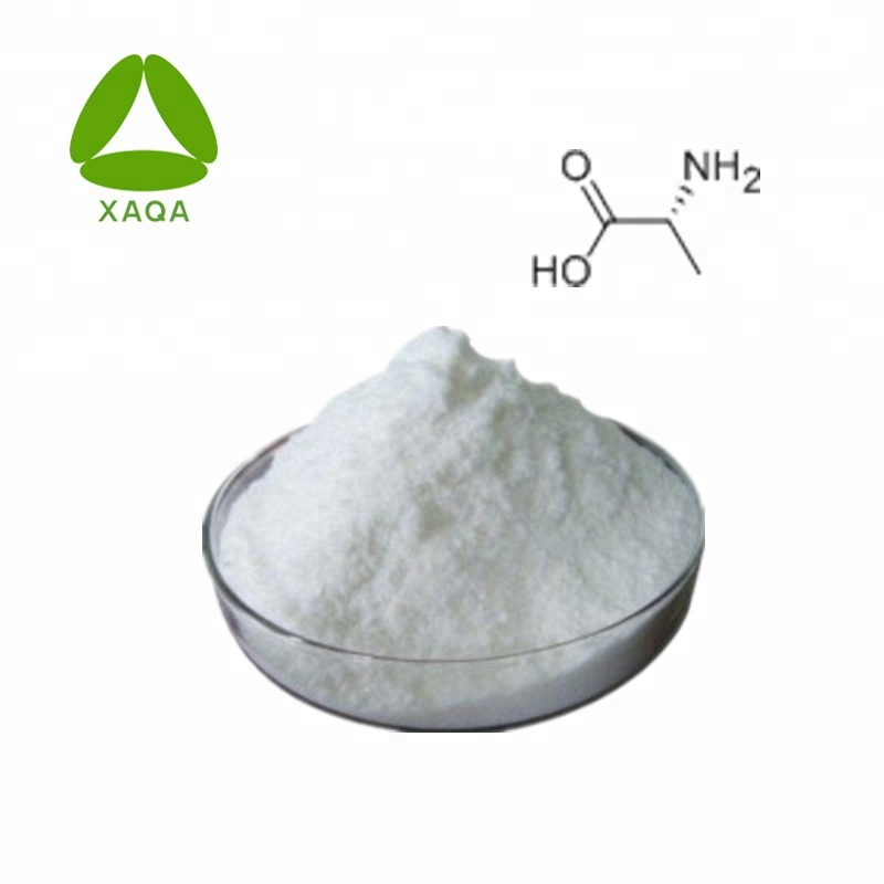 Pharmaceutical D-Alanine Powder 99% Price Cas No. 338-69-2