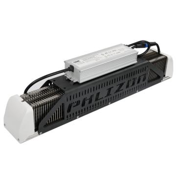 Phlizon wasserdichte LED wachsen Licht 240 / 480W zum Verkauf