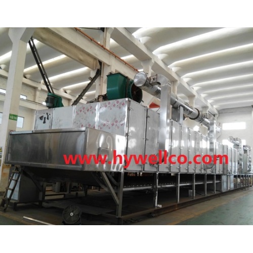 Vegetable and Fruit Continuous Drying Machine