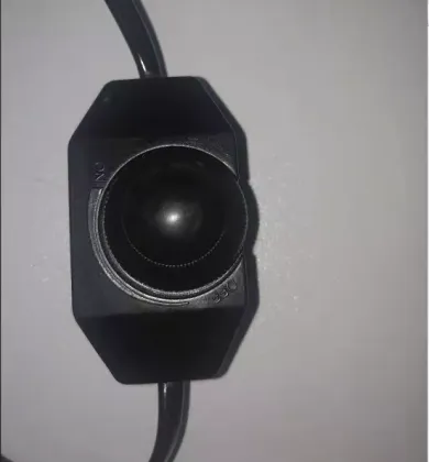 tortoise heat lamp pets at home