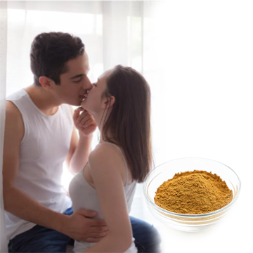 Black maca extract bulk