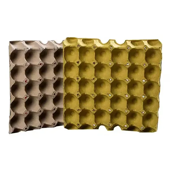 Green Paper Egg Tray for Safe Egg Storage