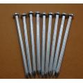 High Quality Industrial Construction Common Nail 2 Inch