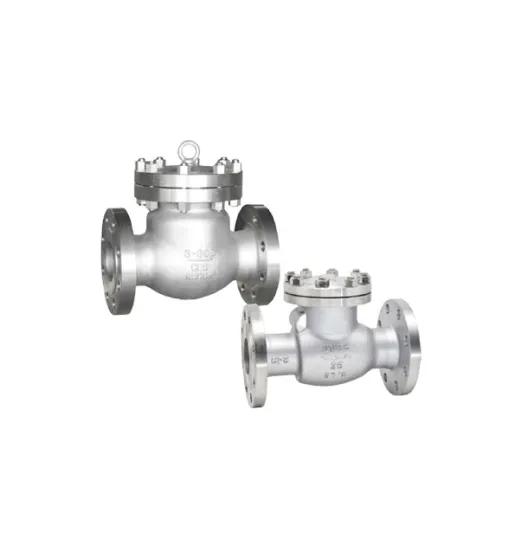 Check Valve