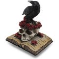 Perched Raven On Rose Skull