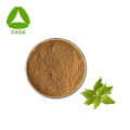 Nettle Extract Silica 1% Powder Treat Arthritis