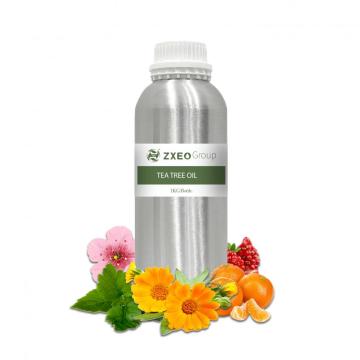 Natural essential oil producer, organic Australian tea tree essential oil 100% pure for aromatherapy therapeutic grade.