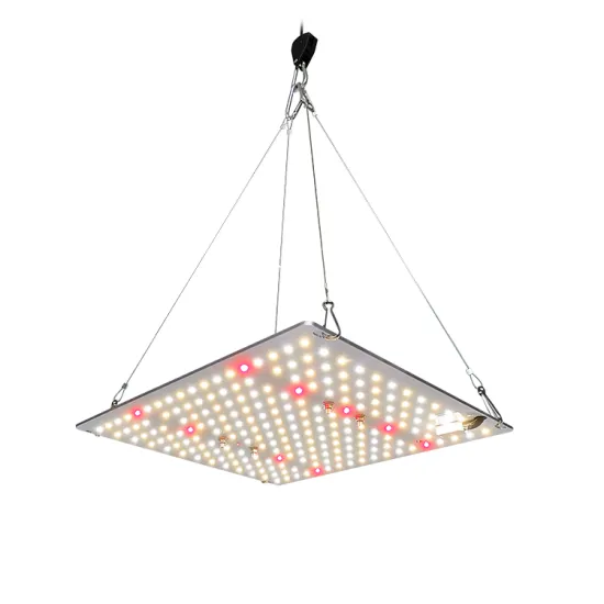 Samsung Full Spectrum LED Board Spyder Grow Light SF1000 100W for Indoor Plant Cultivation