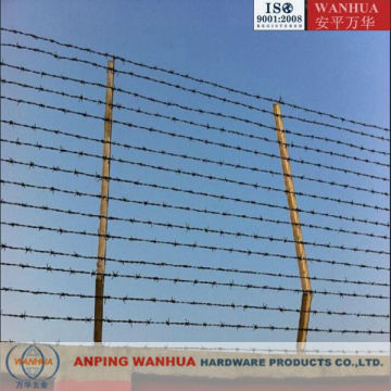 Hot Sell Galvanized Razor barbed wire Mesh Fence ( Professional factory ISO9001)