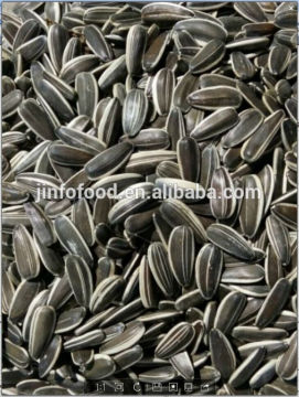 Sunflower Seeds 5009 new crop in 2014