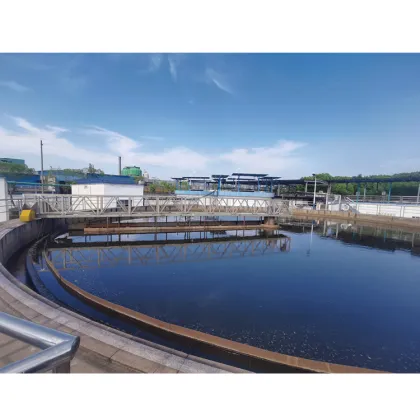 Customized Ore Concentrating Mining Thickener Central Drive High Rate Thickener for Gold Mining in China