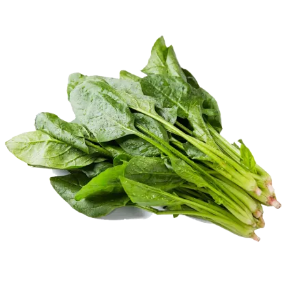 100% Pure Green Vegetable Powder Organic Spinach Powder