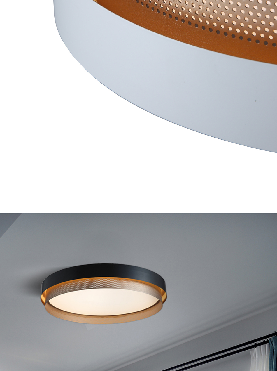 Minimalist Ceiling Lamp Ceiling Light 0355 8