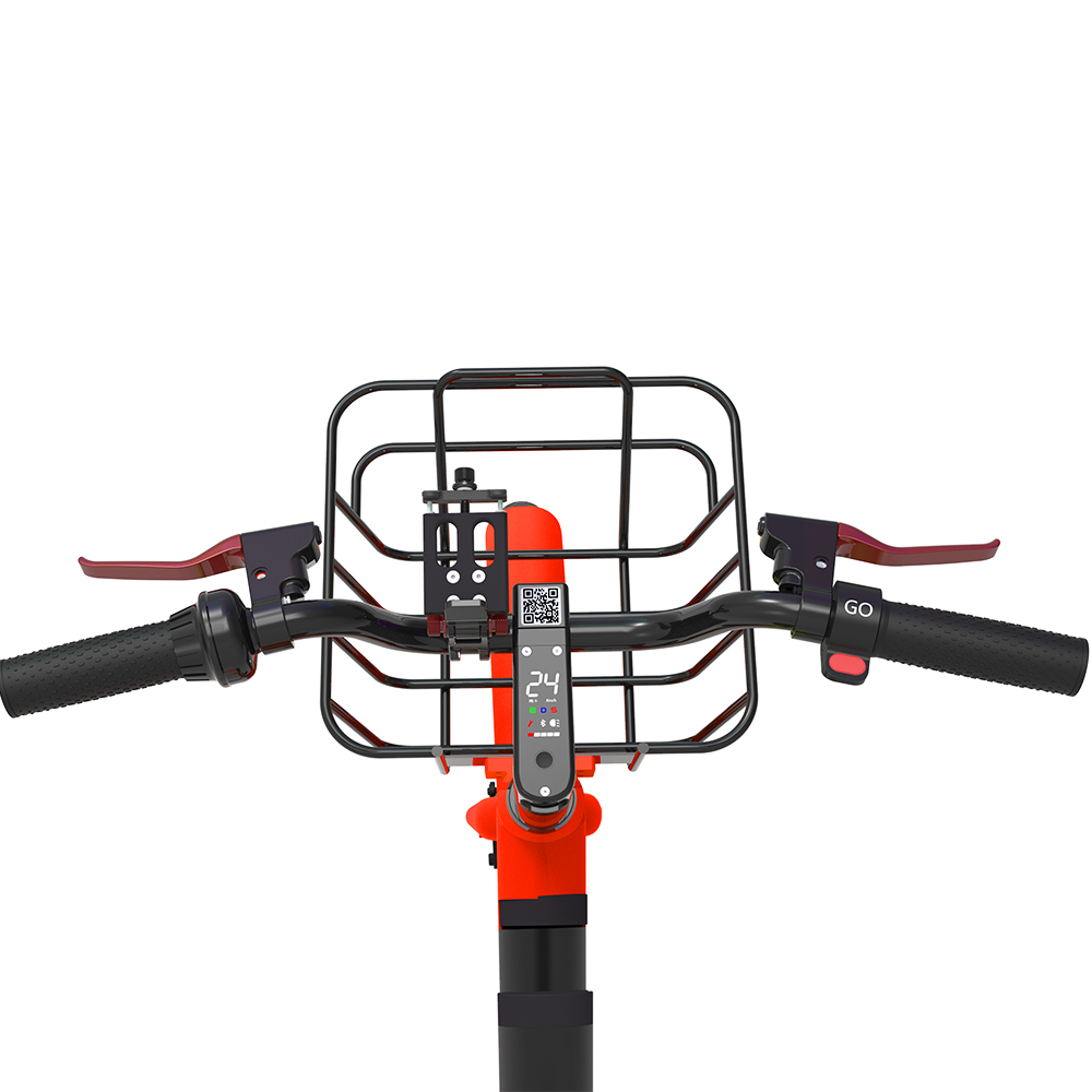 Electric Bike For Rental (11)