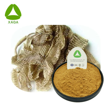 Ular Molting Extract Powder Skin Rawatan Perubatan Cina