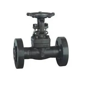 Forged Steel Integral Flanged Gate Valve