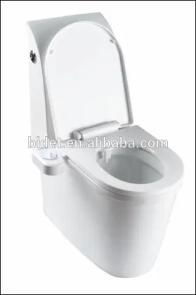 Bio Bidet ,smart bidet,manual cold water bidet EB7100