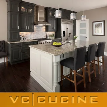 American style modern designs kitchens and kitchen furniture