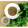 Polvo de semilla de cilantro con alto valor nutricional.