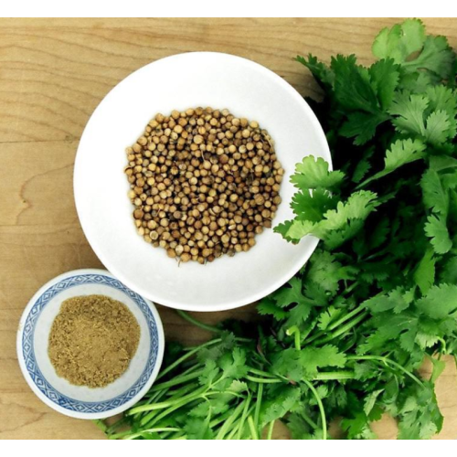 Polvo de semilla de cilantro con alto valor nutricional.