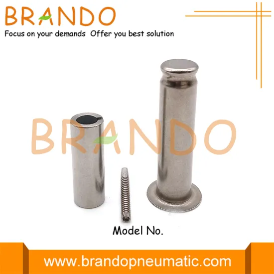 Flow Control Brass Valve K302273 Solenoid Plunger Armature