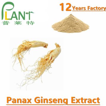 Panax Ginseng radice estratto in polvere 5% ginsenosidi