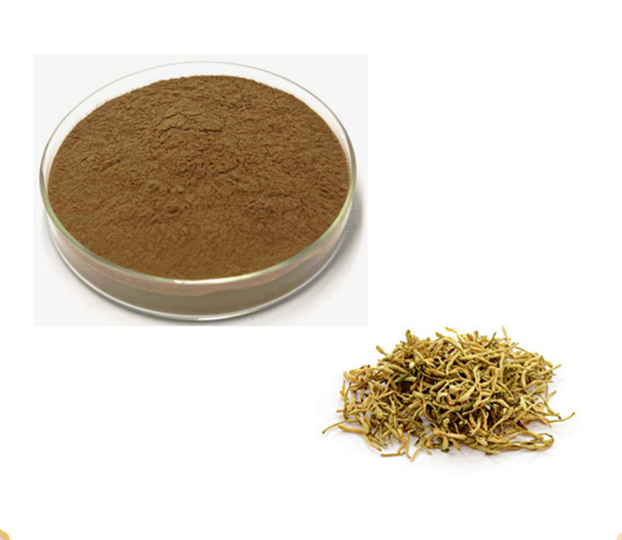 Honeysuckle Extract Honeysuckle Powder