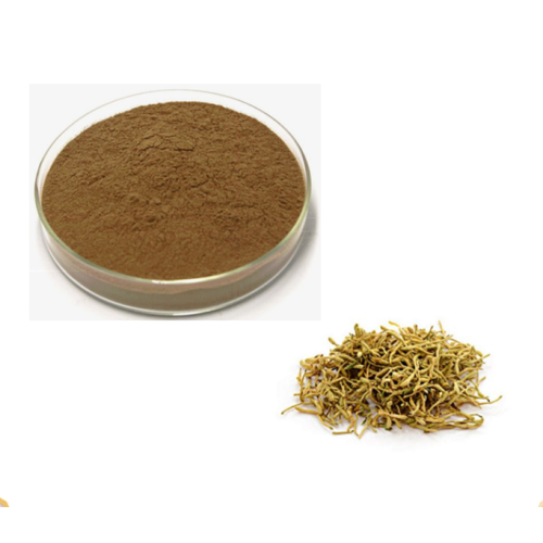 Honeysuckle Extract Honeysuckle Powder