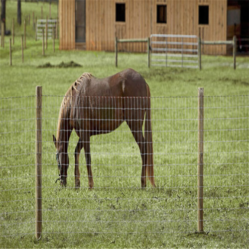 Galvanized Iron Wire Material goat fence panel