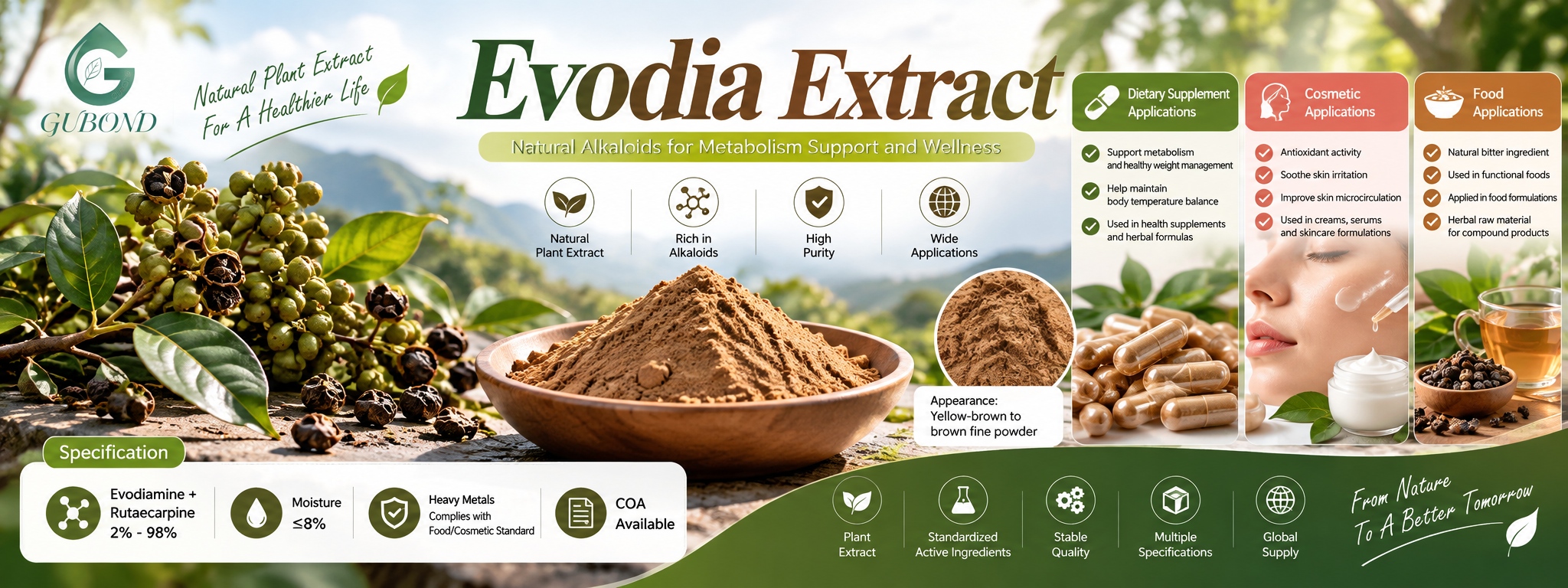 Evodia extract