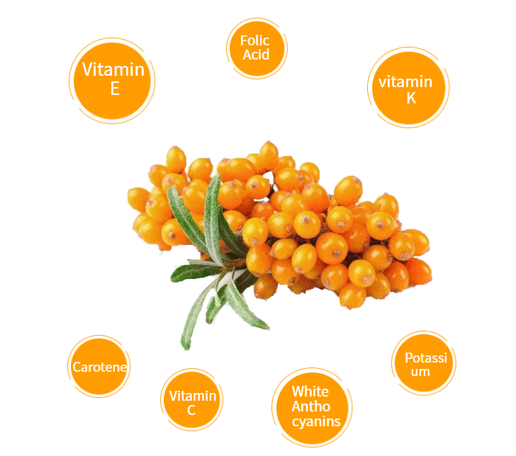 2.Seabuckthorn Powder