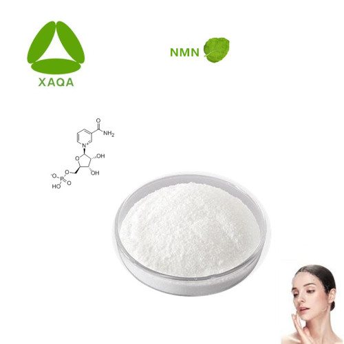 Material anti-envelhecimento Beta-nicotinamida mononucleotídeo NMN