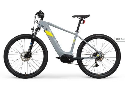 Customized all mountain haibike