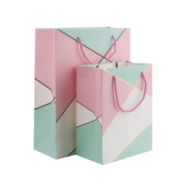 Custom Printed Paper Shopping Bags with PP Twisted Handles for Brand Promotion